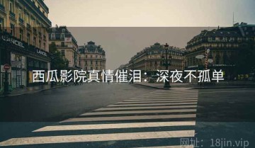 西瓜影院真情催泪：深夜不孤单
