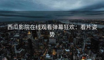 西瓜影院在线观看弹幕狂欢：看片姿势