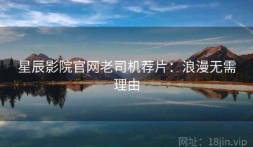 星辰影院官网老司机荐片：浪漫无需理由