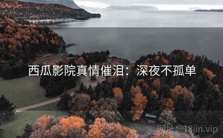 西瓜影院真情催泪：深夜不孤单